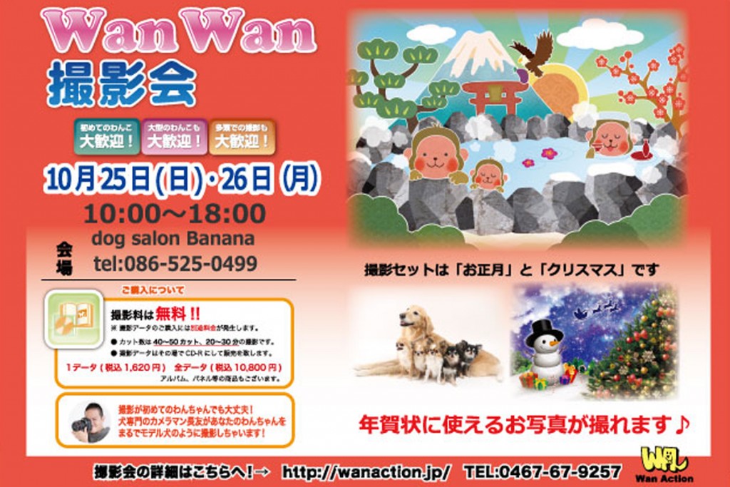 1025.1026dogsalonBanana