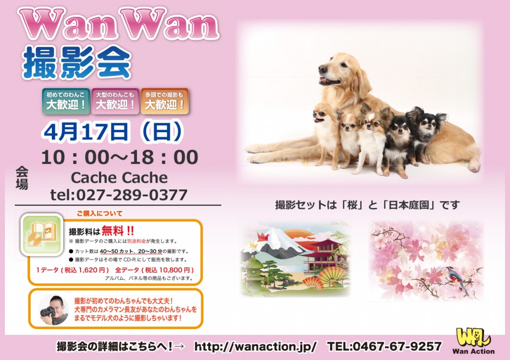 01251920_Wanチラシ_1_25-1