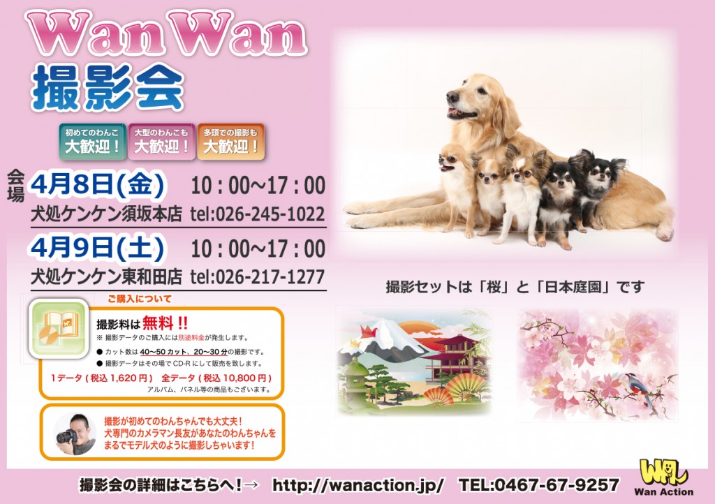 01151025_Wanチラシ_1_15-1