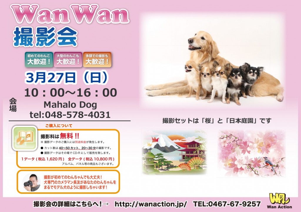 3.27マハロドッグ