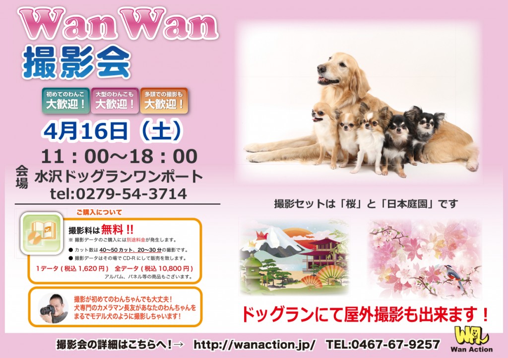 02021718_Wanチラシ_2_2-1