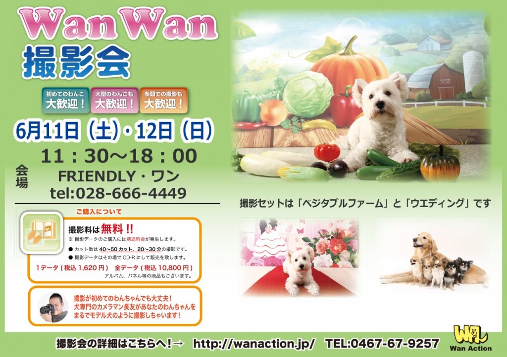 6.11 12フレンドリーワン