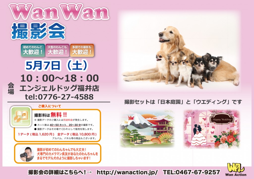 03071721_Wanチラシ_3_07-1