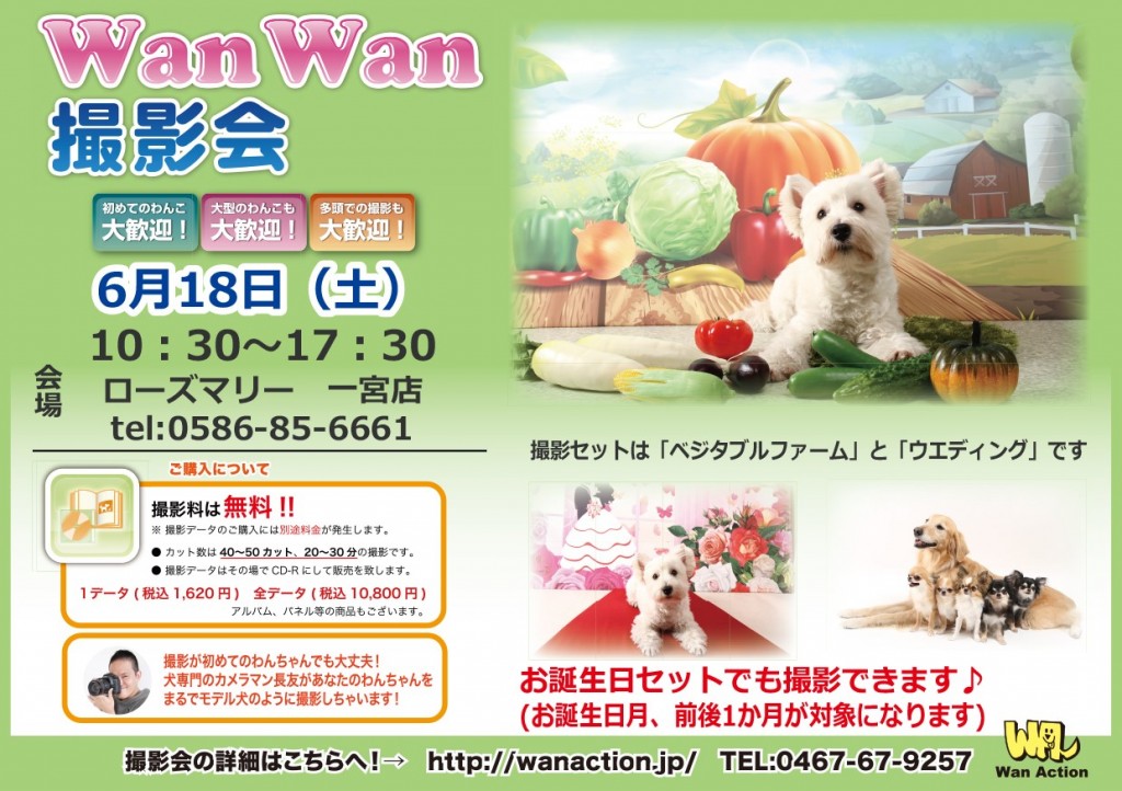 6.18ローズマリー一宮