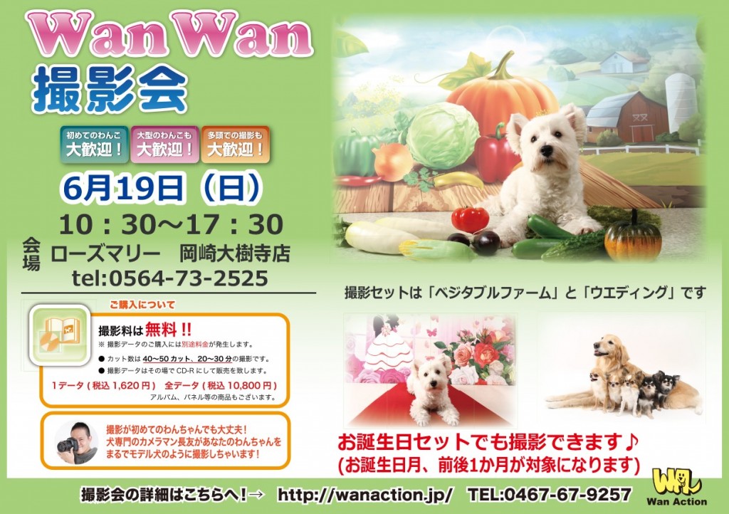 6.19ローズマリー岡崎大樹寺