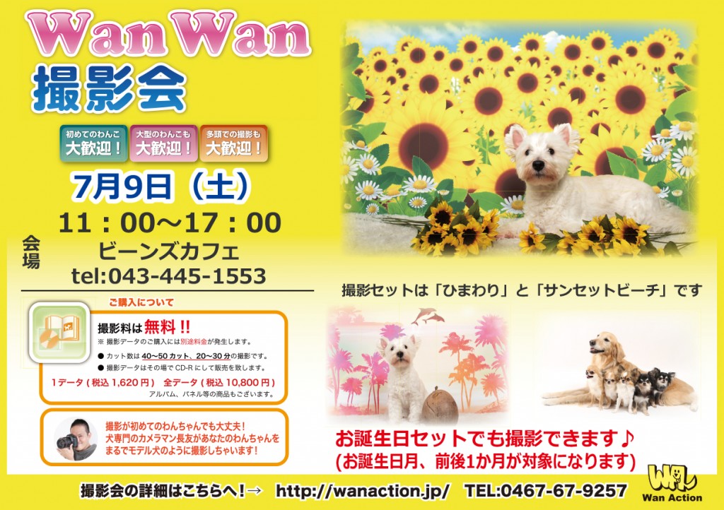 05201512_Wanチラシ_5_20-1