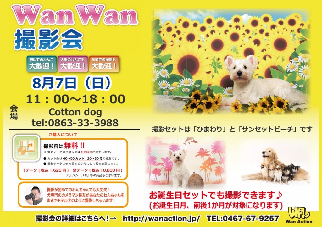 8月7日Cotton dog