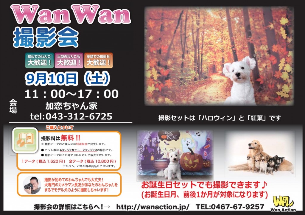 9.10加恋ちゃん家