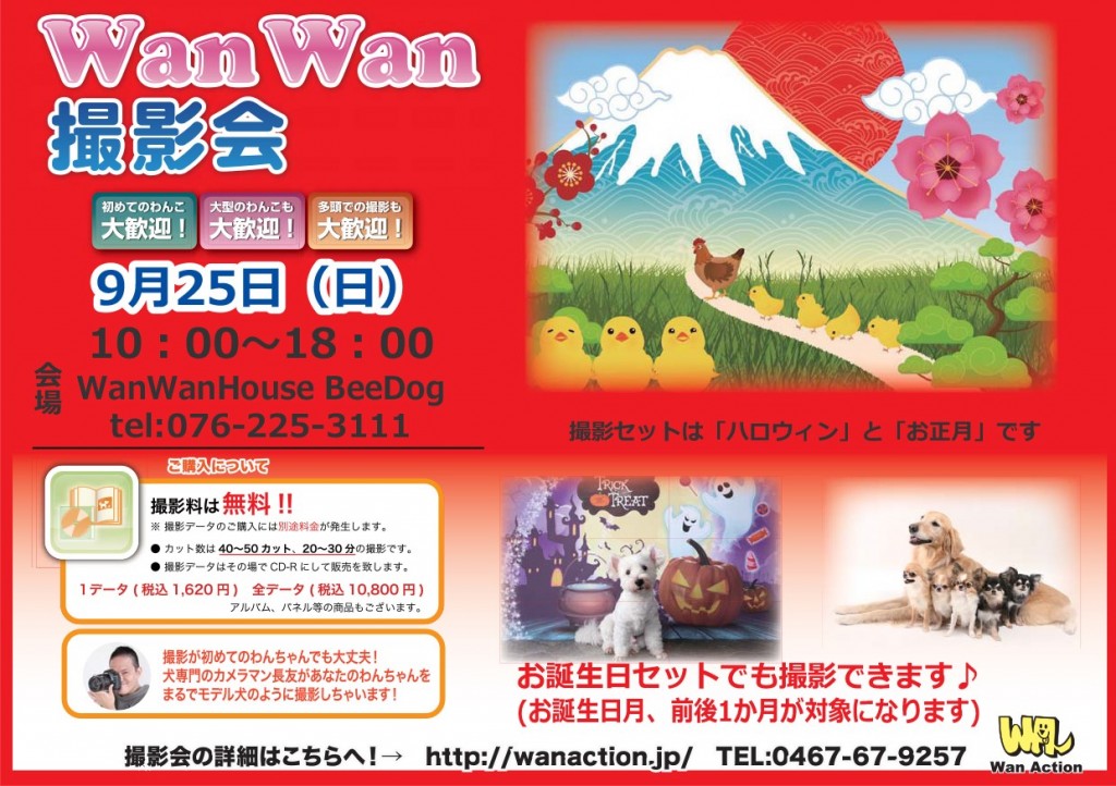 9.25ＢｅｅＤｏｇ