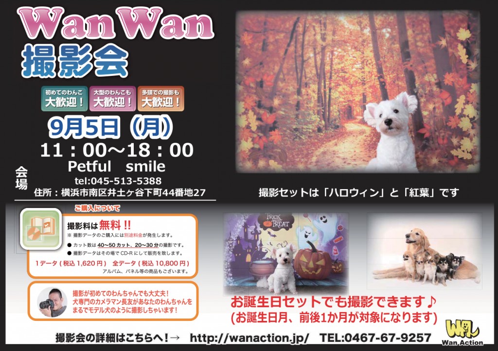 07261141_Wanチラシ_07_26-B