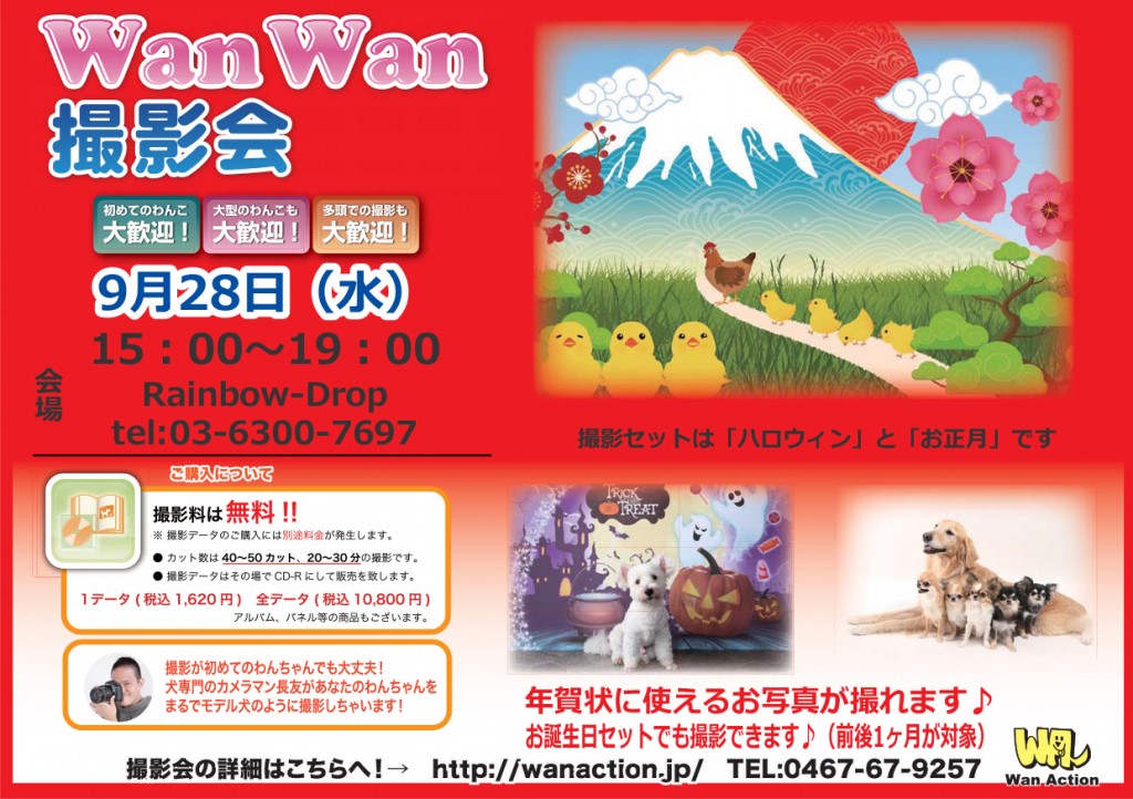 08091549_Wanチラシ_00_00-1