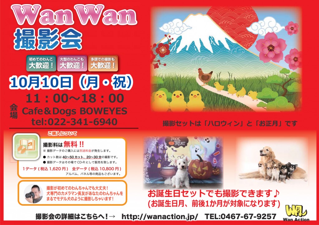 07271554_Wanチラシ_07_28-1