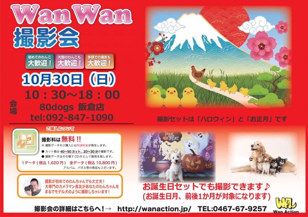 07271554_Wanチラシ_07_28-1