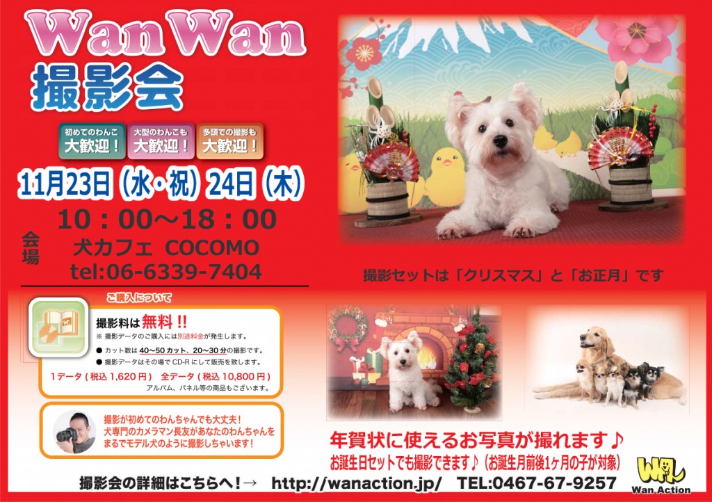 09141315_Wanチラシ_09_14-1