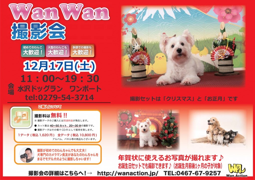 12-17%e6%b0%b4%e6%b2%a2%e3%83%89%e3%83%83%e3%82%b0%e3%83%a9%e3%83%b3