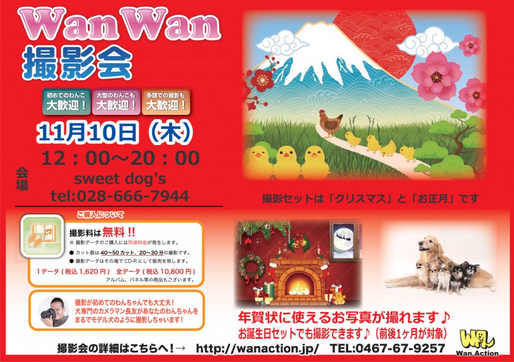 08091549_Wanチラシ_00_00-1