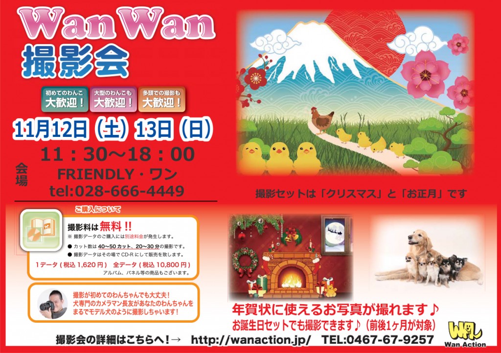 08091549_Wanチラシ_00_00-1