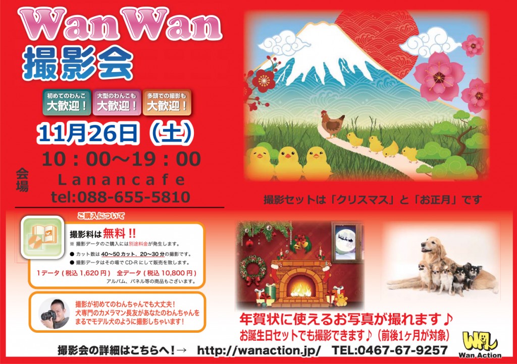 08091549_Wanチラシ_00_00-1