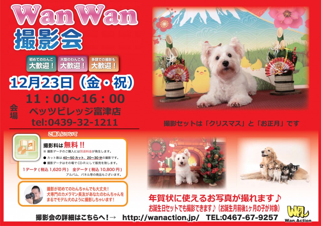 10191324_Wanチラシ_09_19-1