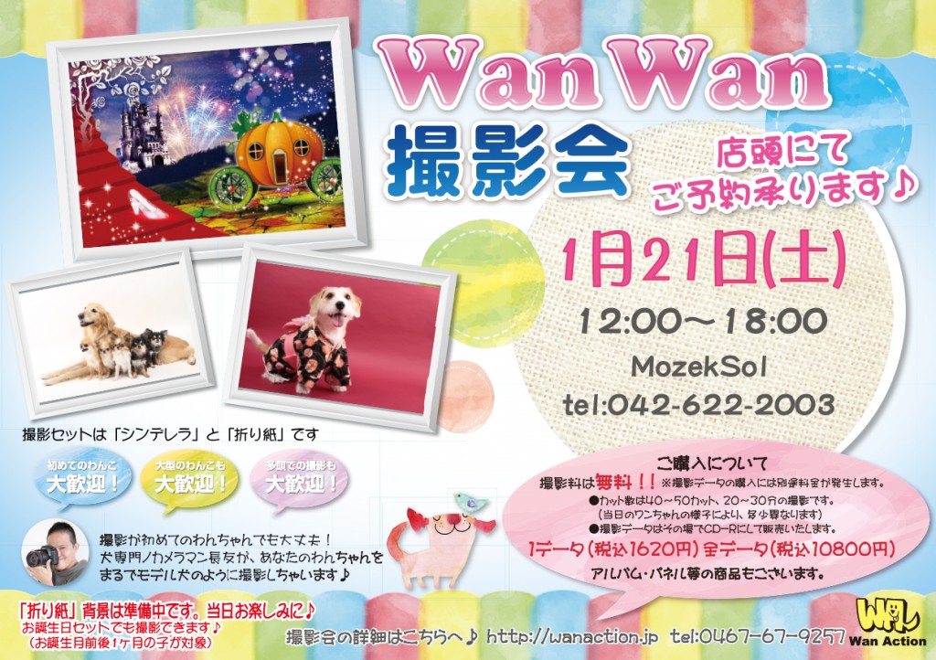 11221624_Wanチラシ_11_22-1