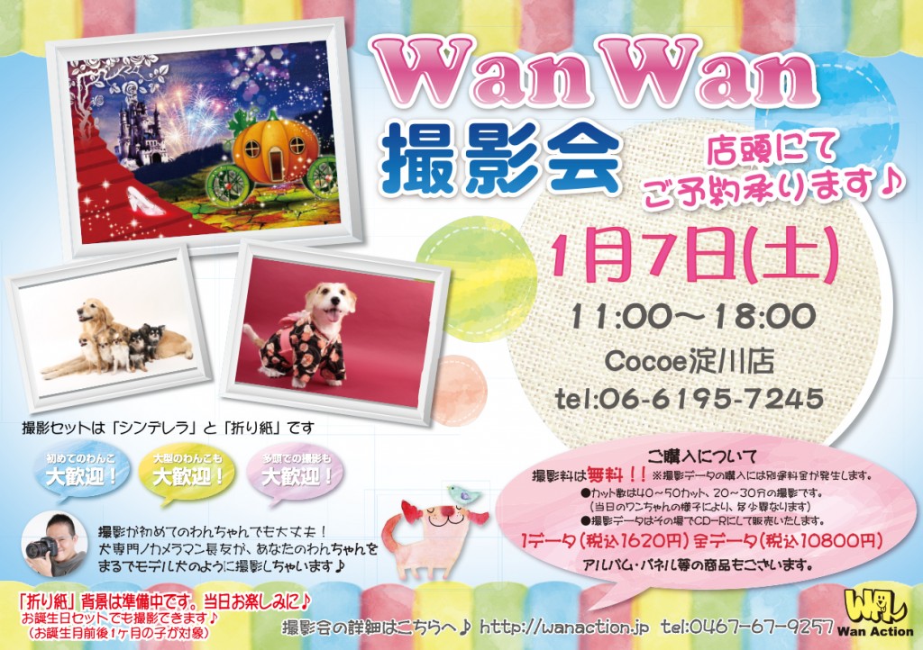 11221624_Wanチラシ_11_22-1