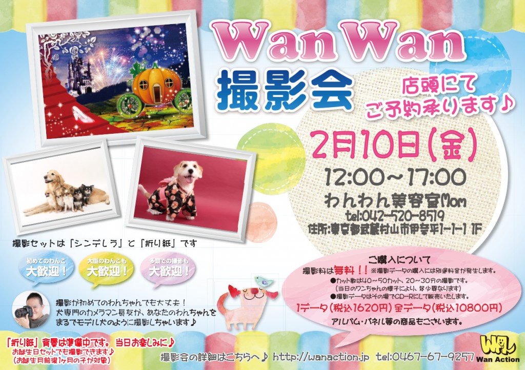 12060924_Wanチラシ_12_06-1