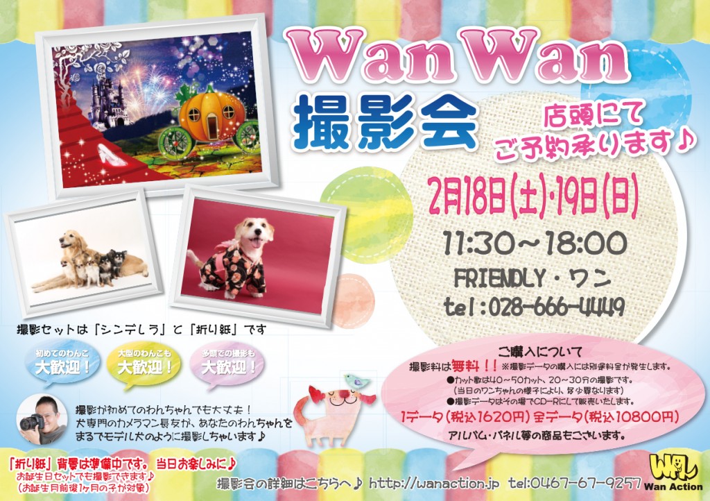 12130900_Wanチラシ_00_00-1