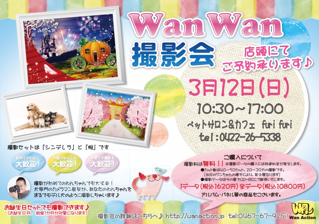 01131008_Wanチラシ_01_03-1