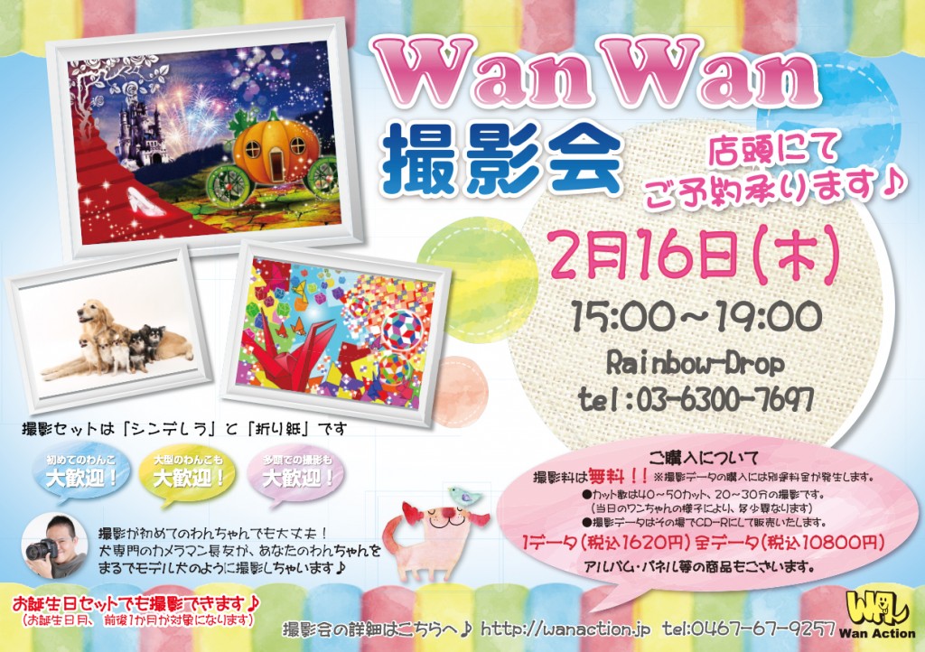 02011716_Wanチラシ_02_01-1