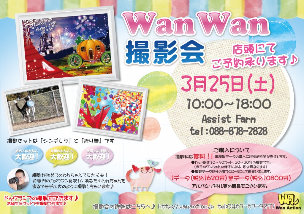 01271717_Wanチラシ_01_30-1