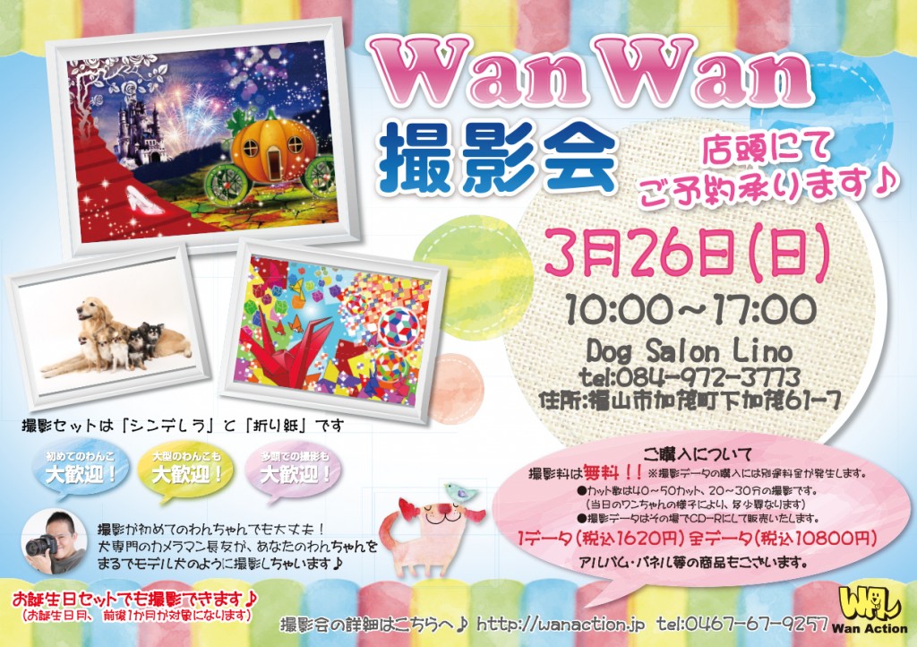 01271717_Wanチラシ_01_30-1