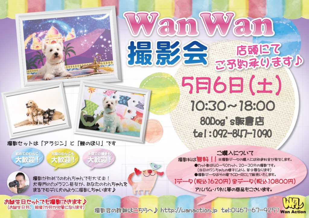 02281704_Wanチラシ_02_28-1