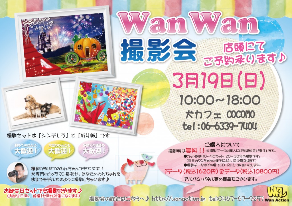 02071741_Wanチラシ_02_08-1