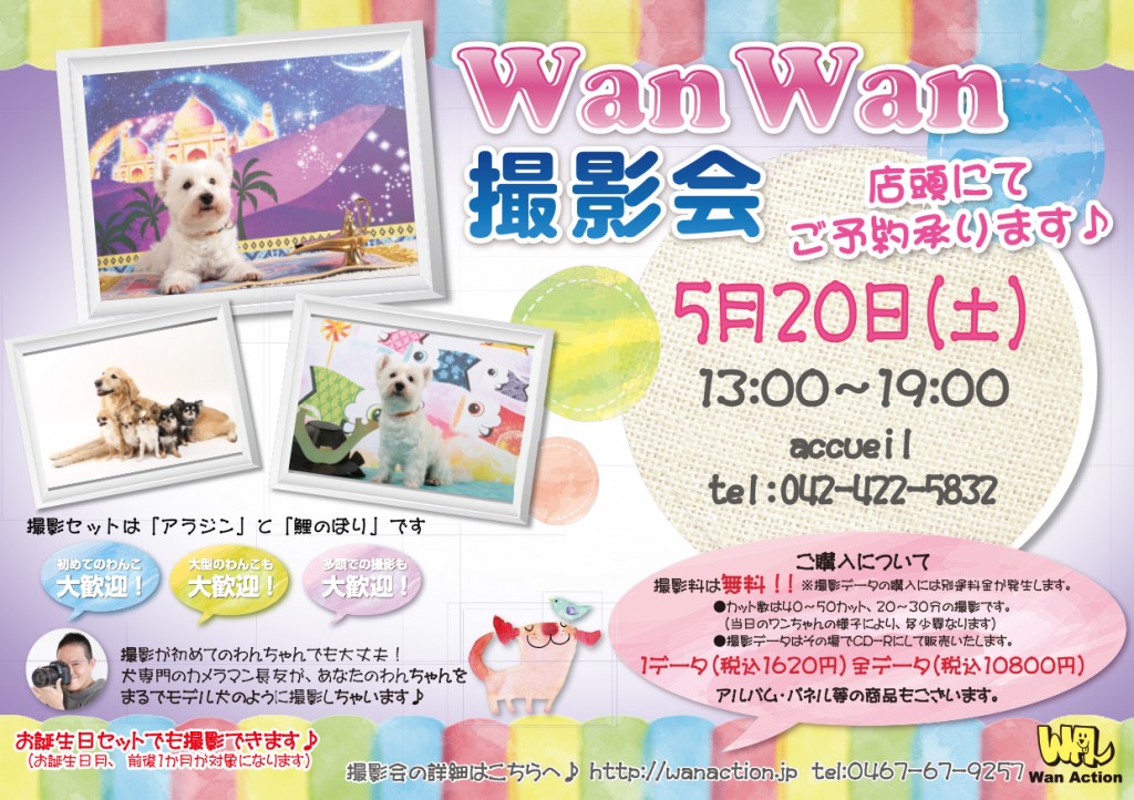 03151537_Wanチラシ_03_16-1