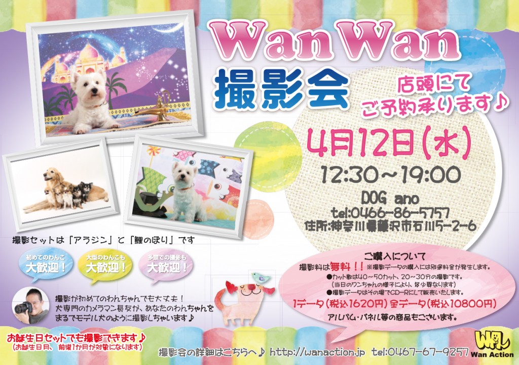 03091639_Wanチラシ_03_09-1