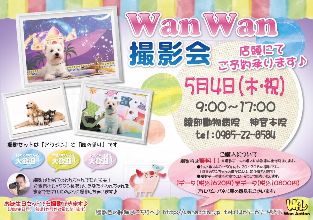 02281704_Wanチラシ_02_28-1