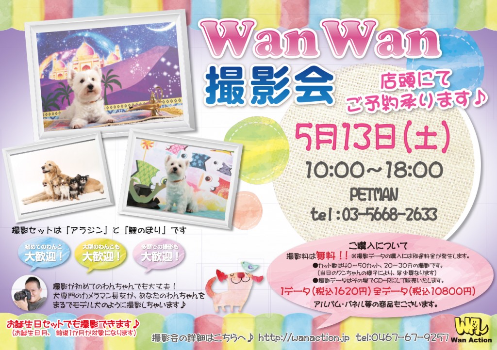 03131615_Wanチラシ_03_13-1