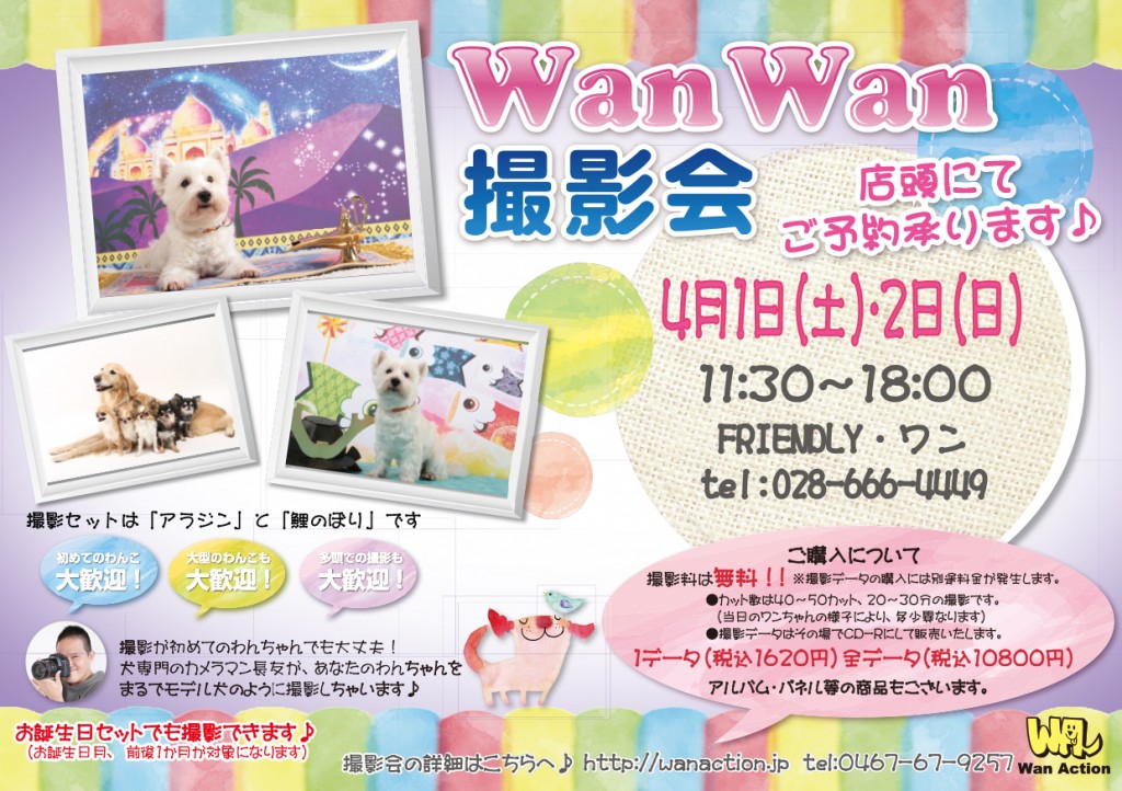 02241409_Wanチラシ_02_24-1