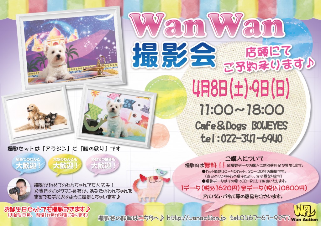 02241745_Wanチラシ_02_24-2-1