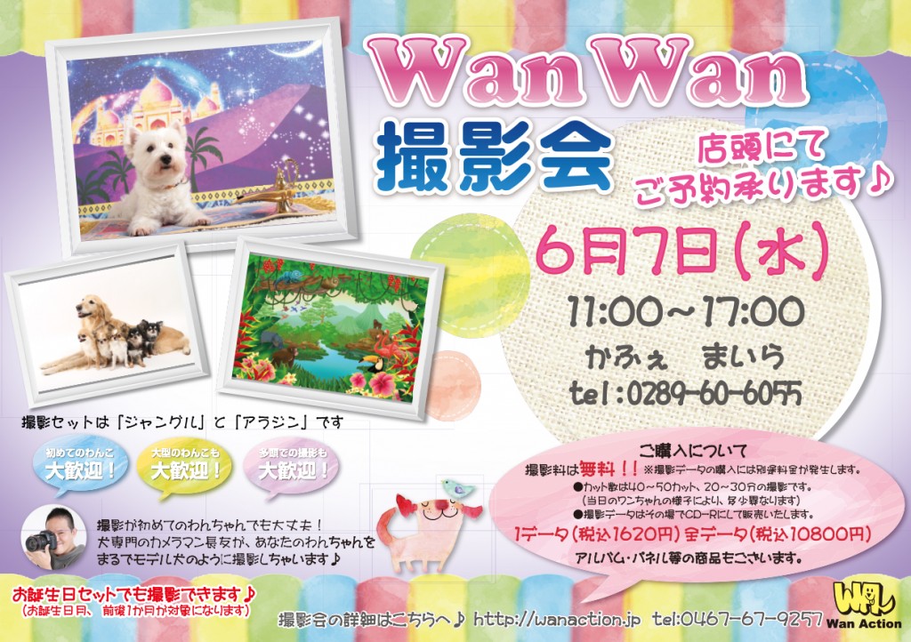 04121301_Wanチラシ_04_12-1