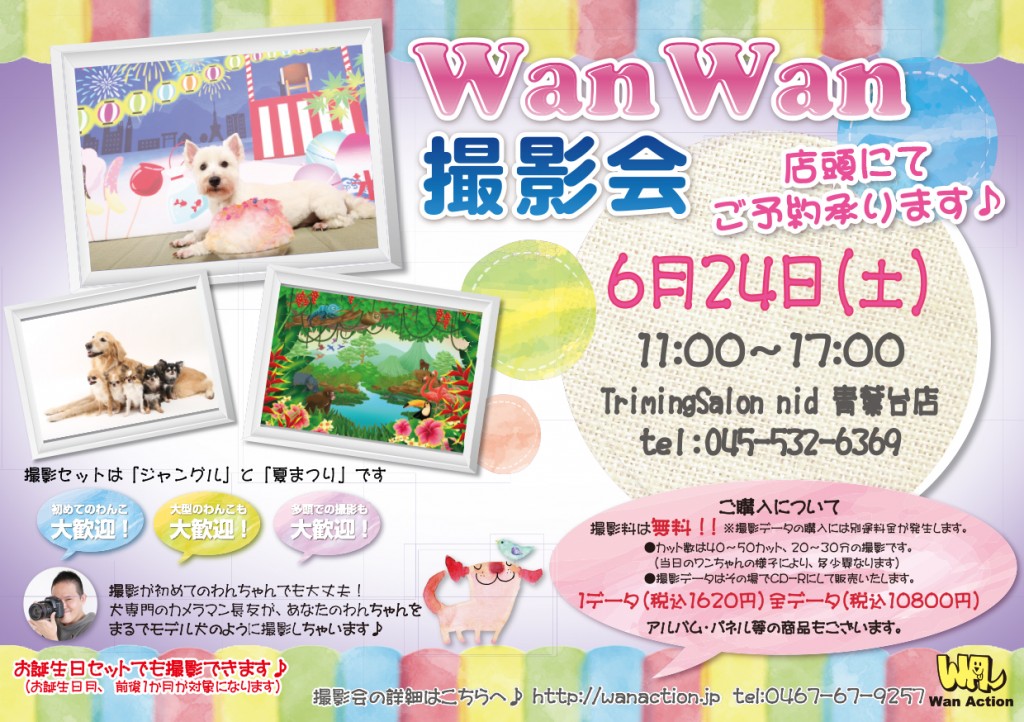 04121301_Wanチラシ_04_12-1