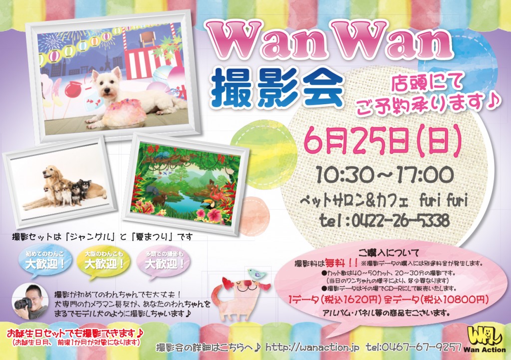 04121301_Wanチラシ_04_12-1