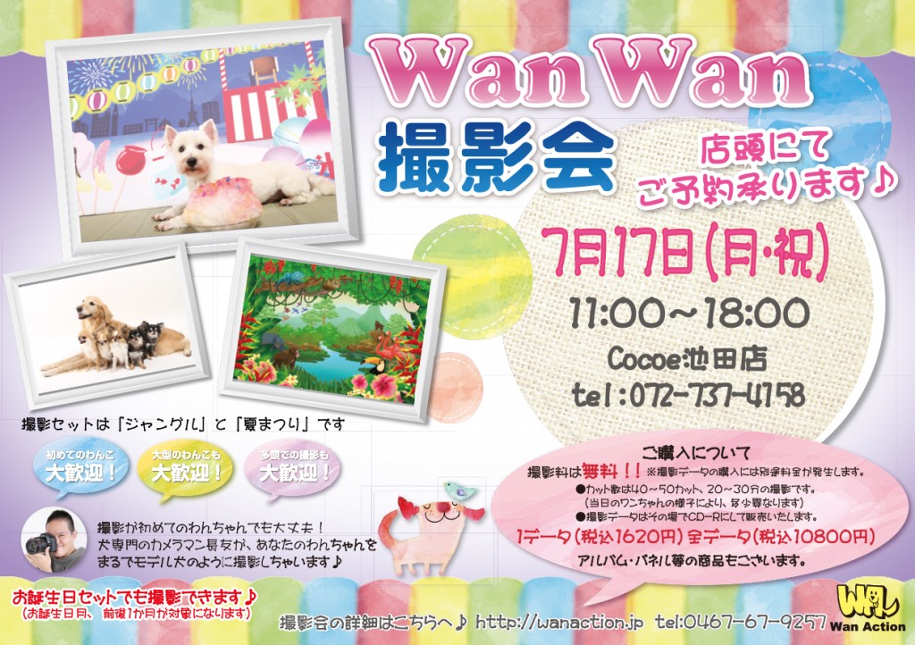 04121301_Wanチラシ_04_12-1