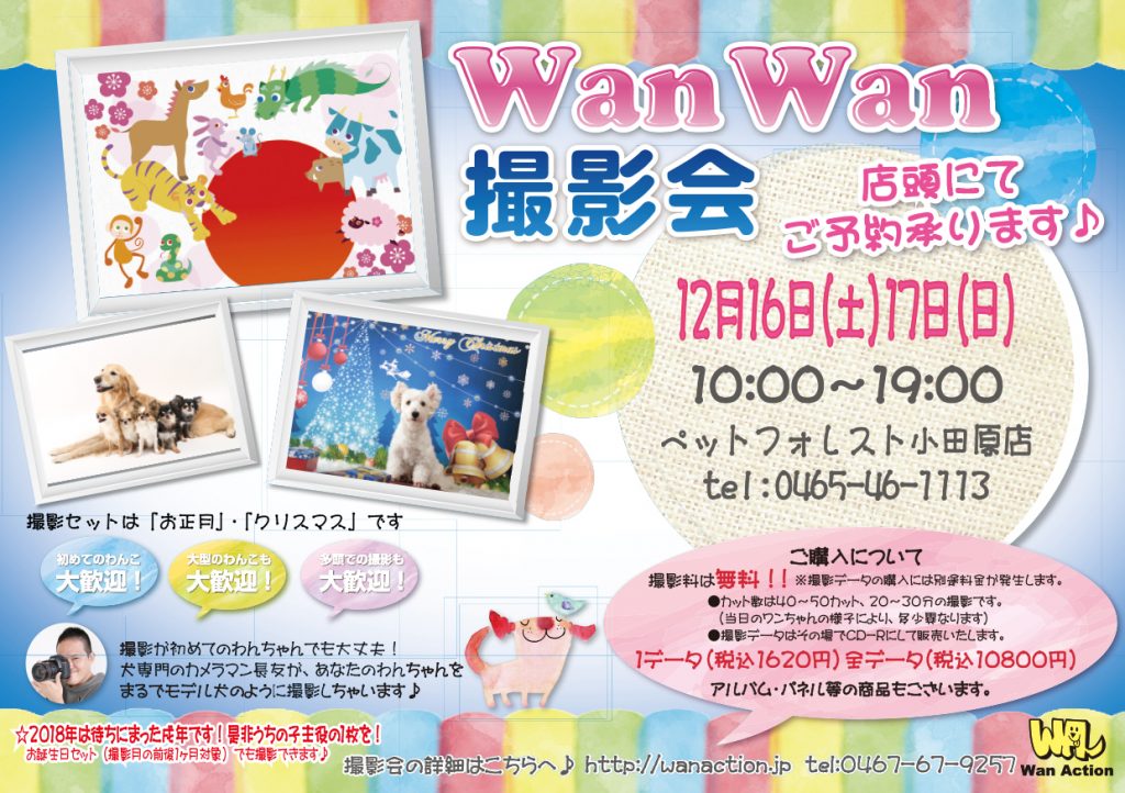 神奈川県 ペットフォレスト小田原店 Wan Action