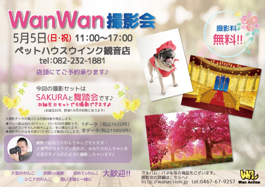 広島県 ペットハウスウインク観音店 Wan Action