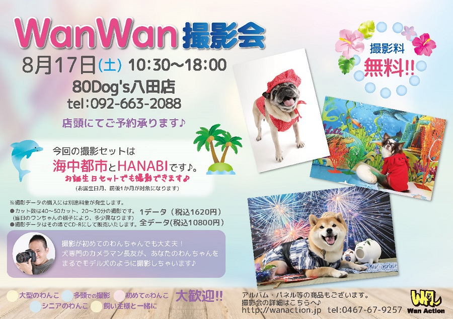 福岡県 80dog S八田店 Wan Action
